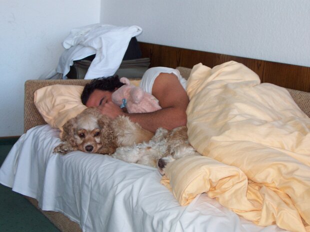 November - Ross in Germany