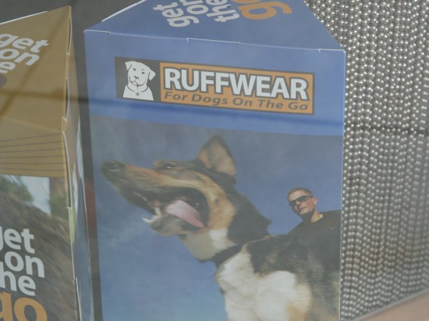 June - Ross' Graduation