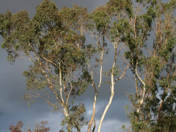 October - Cloudy Evening