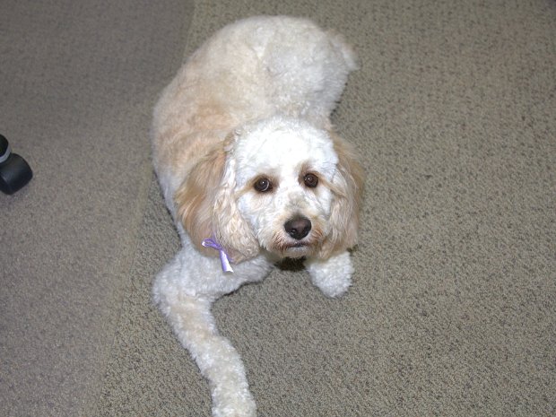 November - Thanksgiving