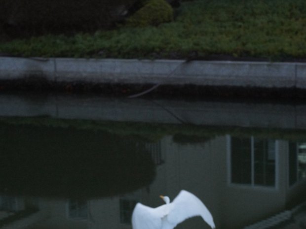 November - Morning Walks