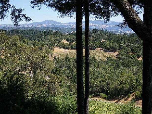 May - Brown Luncheon