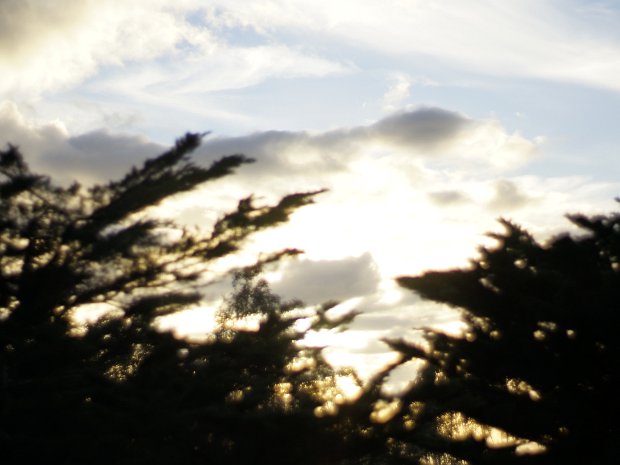 March - Local Scenery