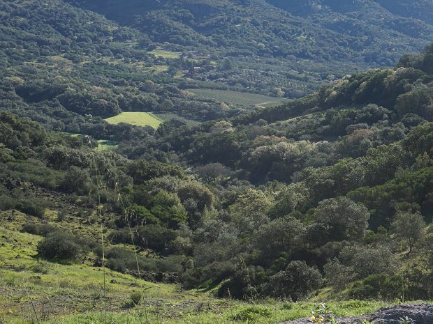 February - Napa with the Kanters