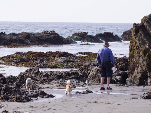 October - Flying Dogs