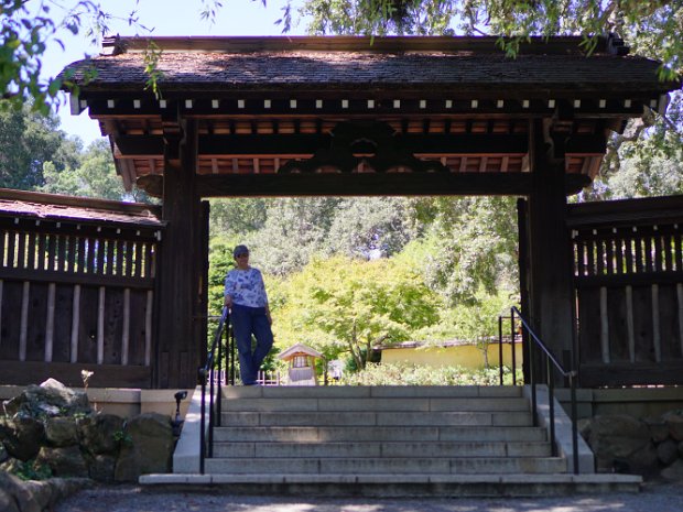 August - Hakone Gardens