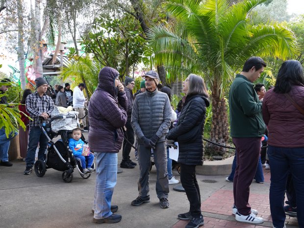 January - Glowfari (Brownes)