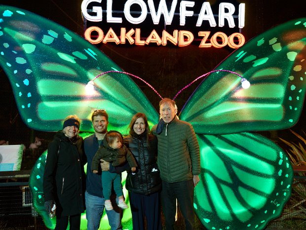 January - Glowfari (Shulmans)