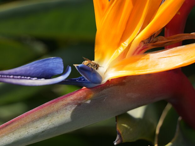 March - Southern California