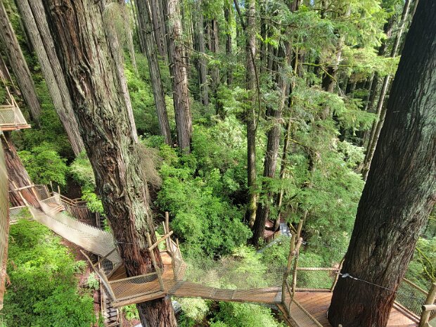 February - Humboldt County